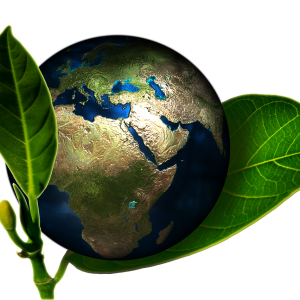 earth-661447_1280